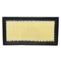 GM19346925-ACDelco Air Filter ACA340 x-ref-A1748 19346925-1