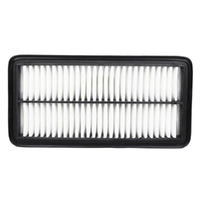 GM19348806-ACDelco Air Filter ACA356 x-ref-A217 19348806-1