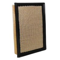 GM19371527-ACDelco Air Filter ACA361 x-ref-A1876 19371527-1