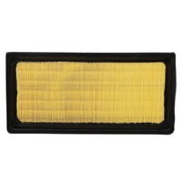 GM19371529-ACDelco Air Filter ACA363 x-ref-A1822 19371529-1