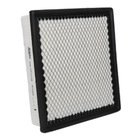 GM19372168-ACDelco Air Filter ACA368 x-ref-A1891 19372168-1