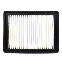 GM19372170-ACDelco Air Filter ACA370 19372170-1