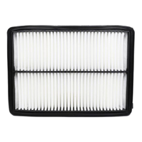 GM19372887-ACDelco Air Filter ACA386 x-ref-A2019 19372887-1
