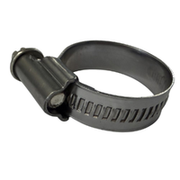 GM19372893-ACDelco Hose Clamp Worm Drive AC2032 20-32mm 19372893-1