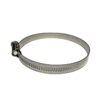 GM19372902-ACDelco Hose Clamp AC8010 80-100mm 19372902-1