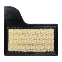 GM19372985-ACDelco Air Filter ACA395 x-ref-A1942 19372985-1