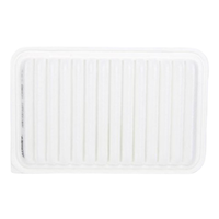GM19373377-ACDelco Air Filter ACA403 x-ref-A1987 19373377-1