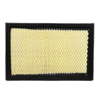 GM88930009-ACDelco Air Filter ACA9 x-ref-A431 88930009-1