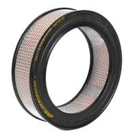 GM88930025-ACDelco Air Filter ACA25 x-ref-A24 88930025-1