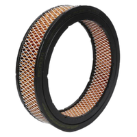 GM88930030-ACDelco Air Filter ACA30 x-ref-A359 with Datsun Holden 88930030-1