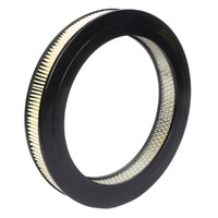 GM88930033-ACDelco Air Filter ACA33 x-ref-A338 88930033-1