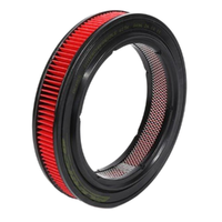 GM88930055-ACDelco Air Filter ACA55 x-ref-A496 88930055-1