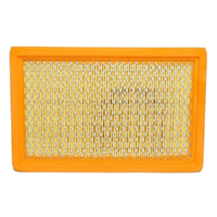 GM88930408-ACDelco Air Filter ACA82 x-ref-A1289 88930408-1