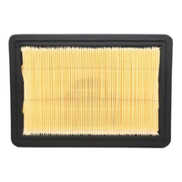 GM88930416-ACDelco Air Filter ACA90 x-ref-A1352 88930416-1