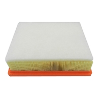 MI165460835R-Genuine Mitsubishi Air Filter 165460835R-1