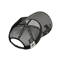 BAP006ST12Y24-GTS Monaro Cap-2