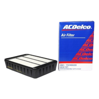 GM19246628-ACDelco Air Filter ACA181 x-ref-A1622 19246628-2