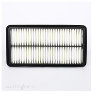 GM19246937-ACDelco Air Filter ACA205 x-ref-A1571 19246937-2