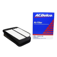 GM19266199-ACDelco Air Filter ACA212 x-ref-A1588 19266199-2