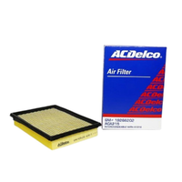 GM19266202-ACDelco Air Filter ACA215 x-ref-A1316 19266202-2