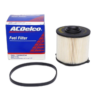 GM19266234-ACDelco Fuel Filter ACF176 x-ref-R2719P 19266234-1
