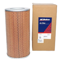 GM19266473-ACDelco Air Filter ACA114 x-ref-A1437 19266473-2
