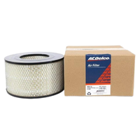 GM19266474-ACDelco Air Filter ACA115 x-ref-A1438 19266474-2