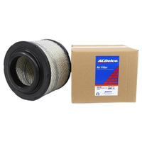 GM19266485-ACDelco Air Filter ACA155 x-ref-A1541 19266485-2
