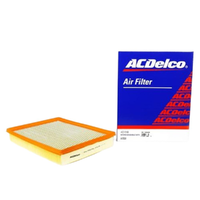 GM19266486-ACDelco Air Filter ACA156 x-ref-A1551 19266486-2