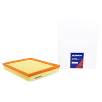GM19266487-ACDelco Air Filter ACA157 x-ref-A1556 19266487-2