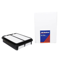 GM19266491-ACDelco Air Filter ACA161 x-ref-A1245 19266491-2