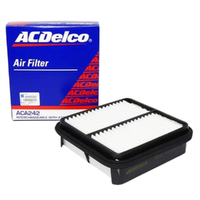 GM19266676-ACDelco Air Filter ACA242 x-ref-A1267 19266676-2