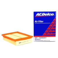 GM19280201-ACDelco Air Filter ACA251 x-ref-A1747 19280201-2