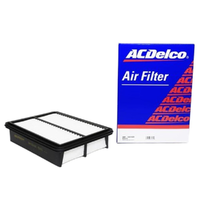 GM19281689-ACDelco Air Filter ACA415 19281689-2