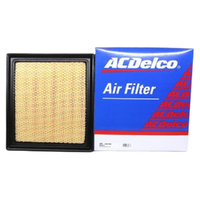 GM19281695-ACDelco Air Filter ACA419 19281695-2