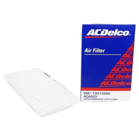 GM19315285-ACDelco Air Filter ACA263 x-ref-A1806 19315285-2