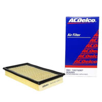 GM19315287-ACDelco Air Filter ACA265 x-ref-A1623 19315287-2