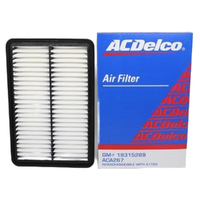 GM19315289-ACDelco Air Filter ACA267 x-ref-A1785 19315289-2
