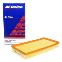GM19315291-ACDelco Air Filter ACA269 x-ref-A1432 19315291-2