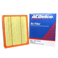 GM19315950-ACDelco Air Filter ACA274 x-ref-A1829 19315950-2