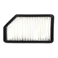 GM19315952-ACDelco Air Filter ACA276 x-ref-A1803 19315952-2