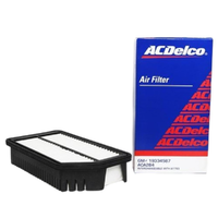 GM19334587-ACDelco Air Filter ACA284 x-ref-A1793 19334587-2