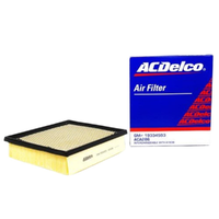 GM19334593-ACDelco Air Filter ACA286 x-ref-A1838 19334593-2