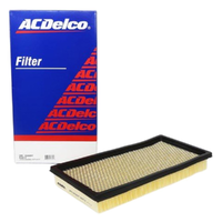 GM19346897-ACDelco Air Filter ACA312 x-ref-A1331 19346897-2