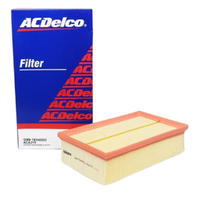 GM19346900-ACDelco Air Filter ACA315 x-ref-A1861 19346900-2