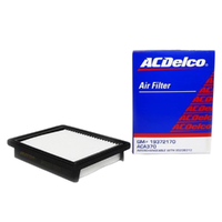 GM19372170-ACDelco Air Filter ACA370 19372170-2