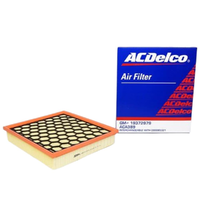GM19372979-ACDelco Air Filter ACA389 19372979-2