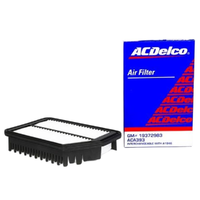 GM19372983-ACDelco Air Filter ACA393 x-ref-A1946 19372983-2