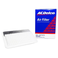 GM19373376-ACDelco Air Filter ACA402 x-ref-A258 19373376-2