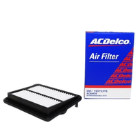 GM19373378-ACDelco Air Filter ACA404 19373378-2